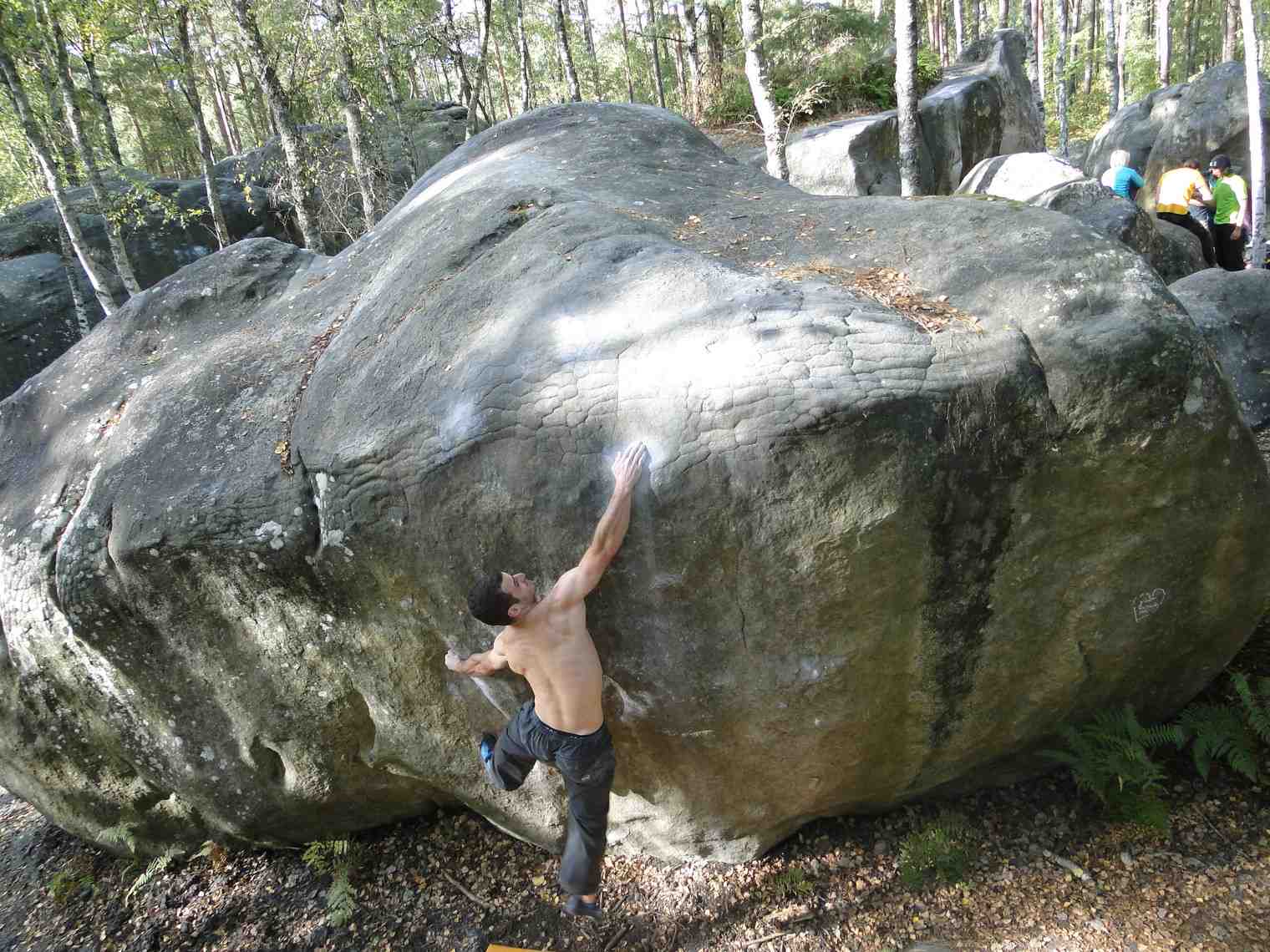 Franchard Isatis (Centre): Fontainebleau bouldering spots