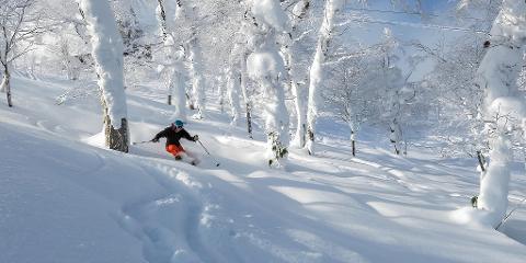 JAPOW RETREAT – SKIING, YOGA & TRADITION IN JAPAN