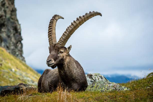 Itinerary image