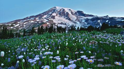 WASHINGTON’S OLYMPICS & CASCADES ADVENTURE – 7-DAY TREK