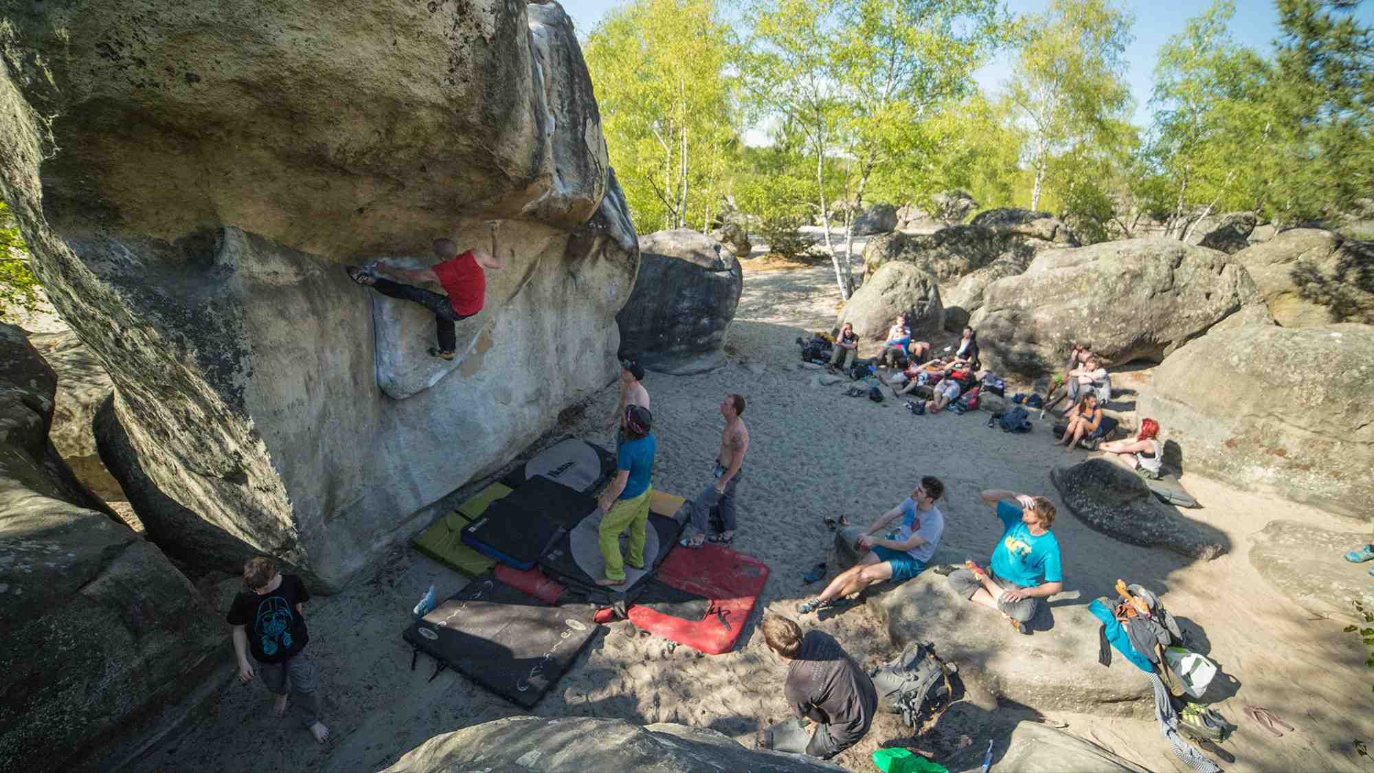 Bas Cuvier: Fontainebleau bouldering guide